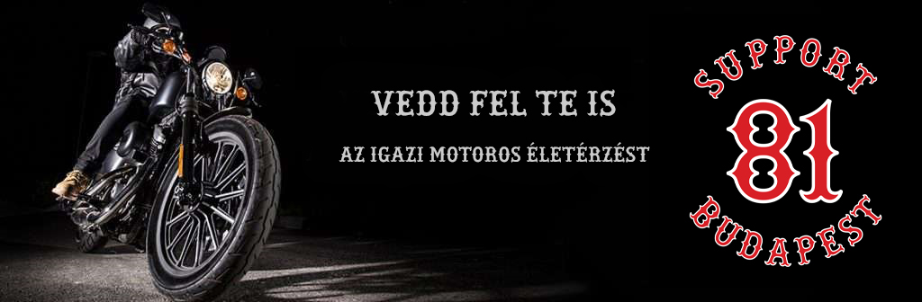 support81 webáruház